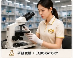 檢驗分析情境